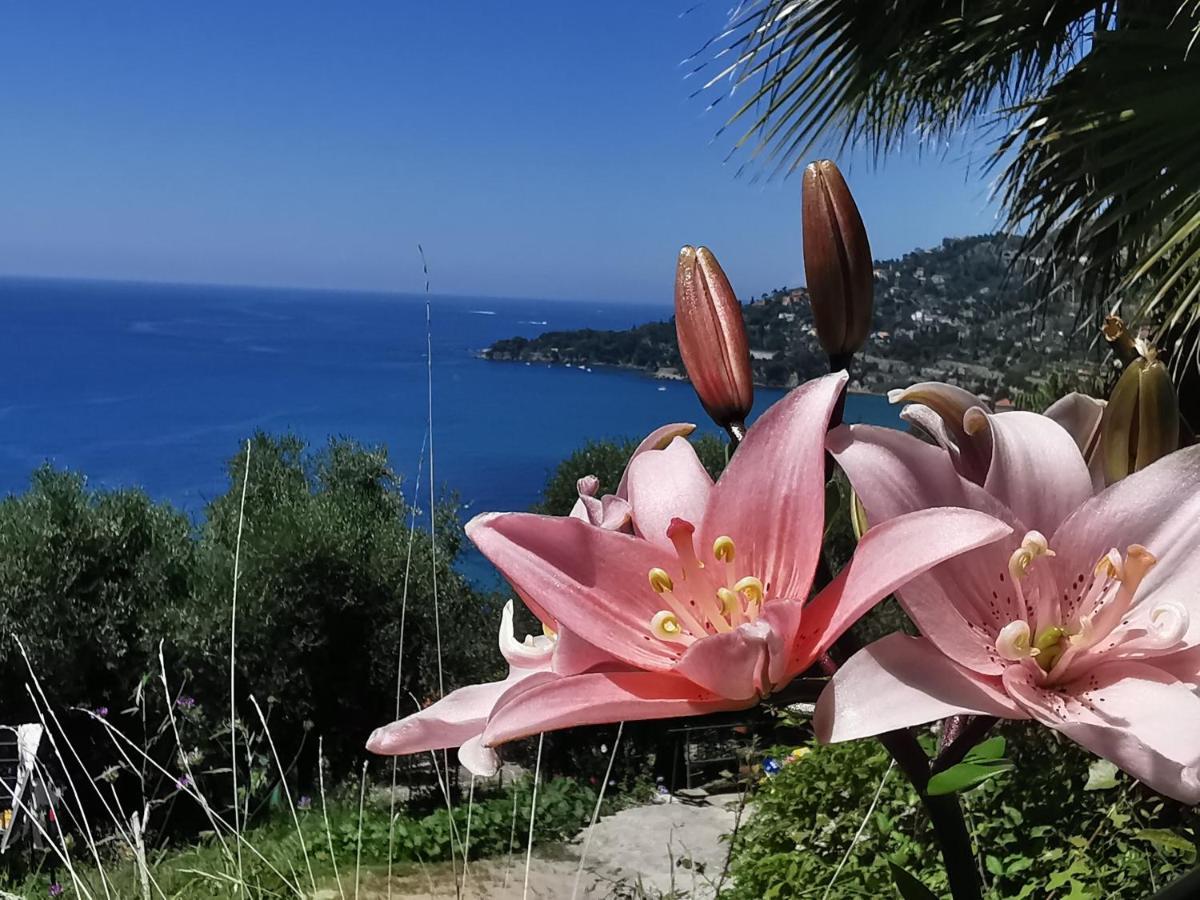 Romantic Casa Lorenzina Affittacamere Вентимиля Екстериор снимка