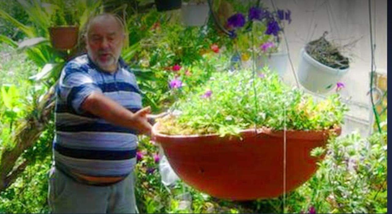 Romantic Casa Lorenzina Affittacamere Вентимиля Екстериор снимка